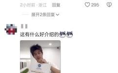 2024电竞网咖发展分析欧洲杯专题2024欧洲pubg职业联赛数据